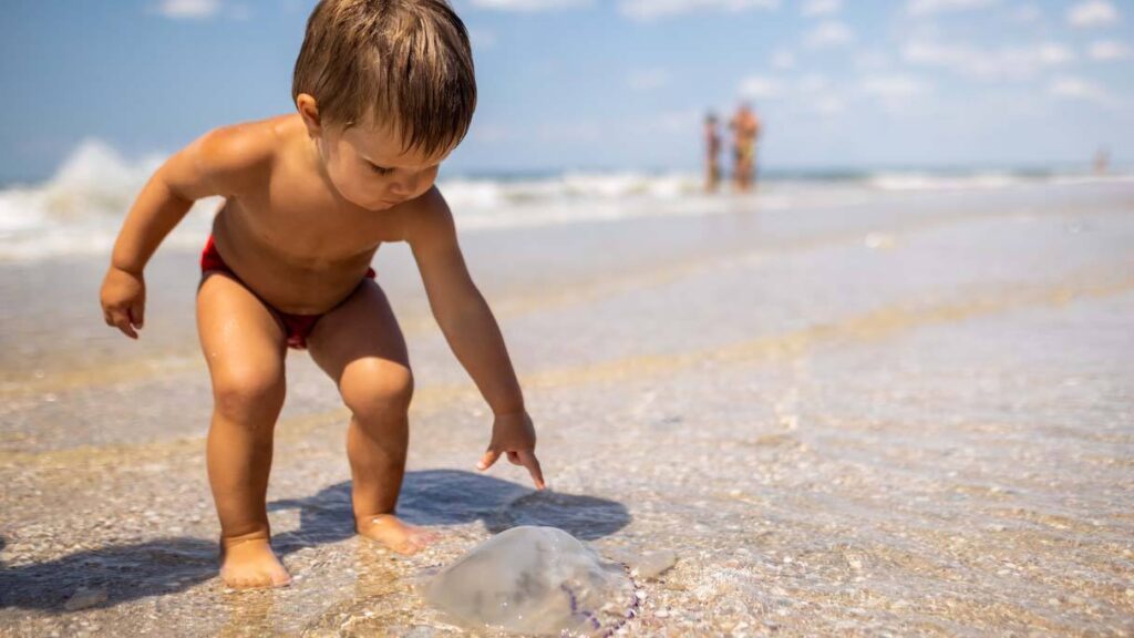 bambini rimedi meduse e tracine